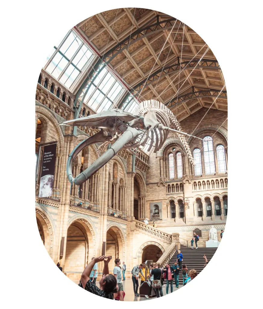 Museums