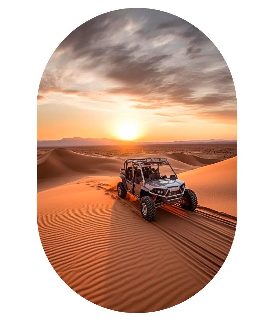 Dessert Safari